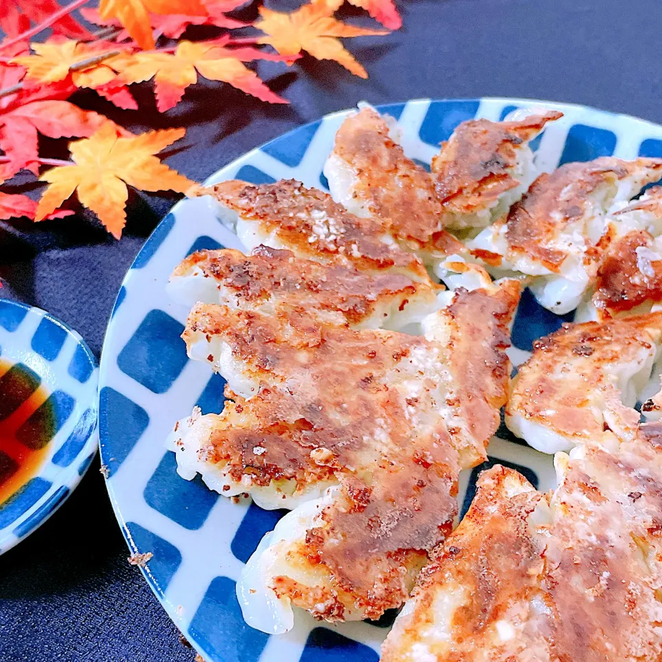 焼き餃子|オーロラさん