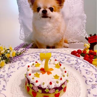 犬用お誕生日ケーキのレシピと料理アイディア25件 Snapdish スナップディッシュ