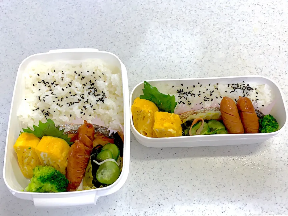 10月14日お弁当🍱|もぐぷーさん