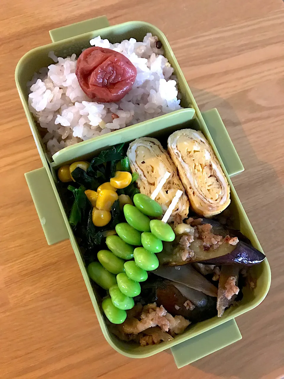 ナスそぼろ弁当🍱|ちっくんさん