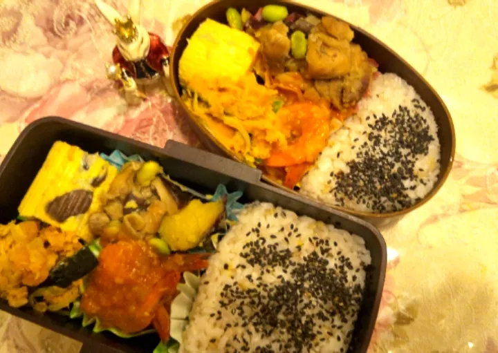 '21．10/15
本日のジジババ弁当🍱|たえさん