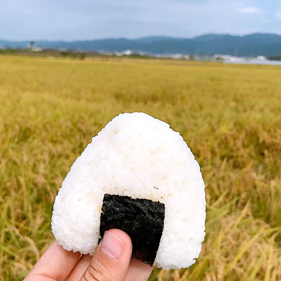 Snapdishの料理写真:今年も美味しい新米が出来上がりました！|sarada.makiさん