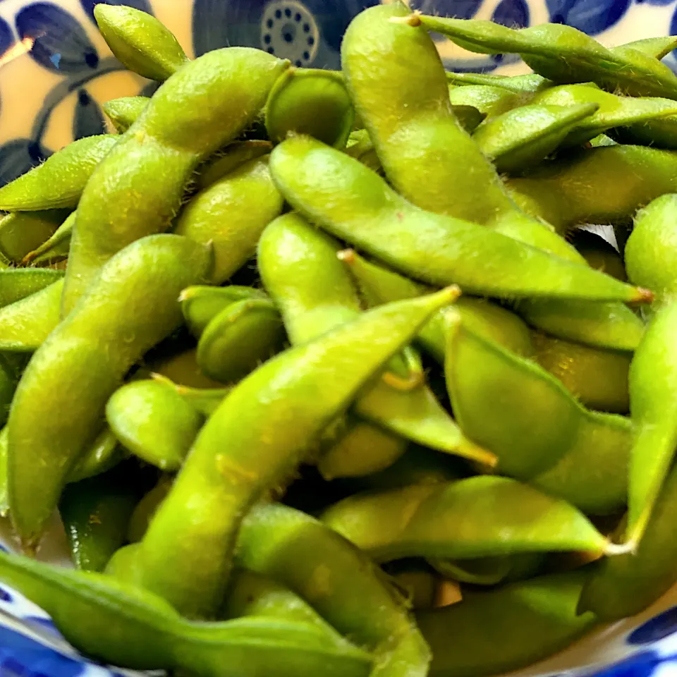 ふなこし豆|yuiさん