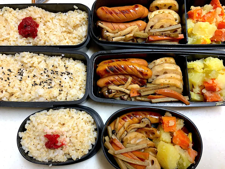 Snapdishの料理写真:今日のお弁当|Victoryageさん