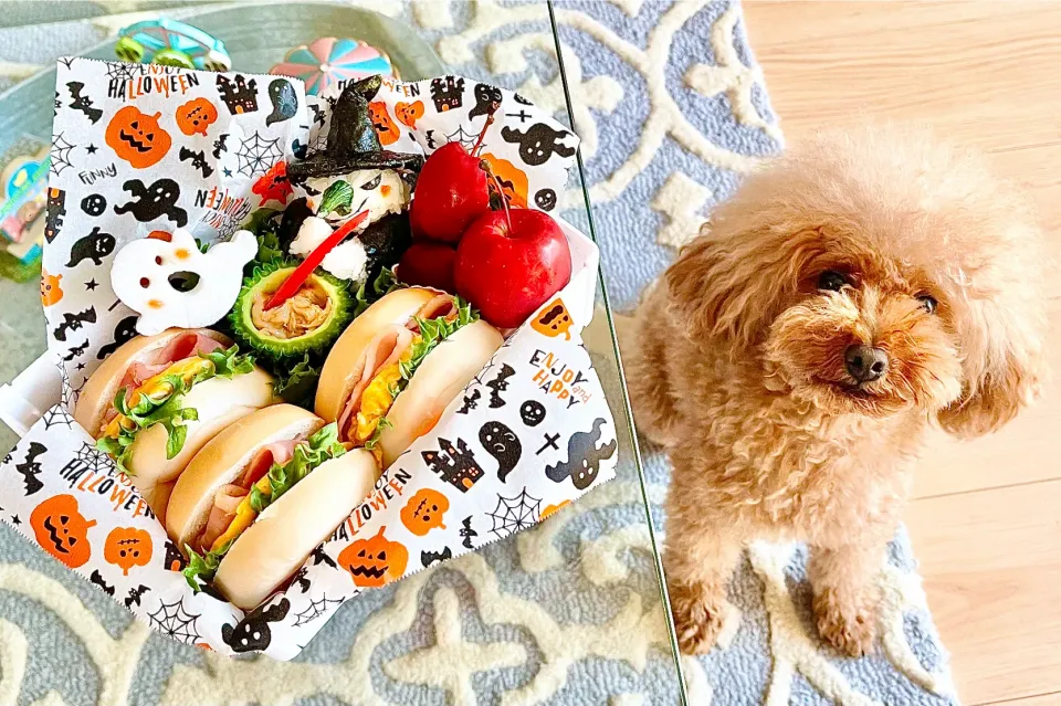 🧙‍♀️Gluten-free 🍳魔女とサンドイッチ弁当🧙‍♀️|The Reinhartsさん