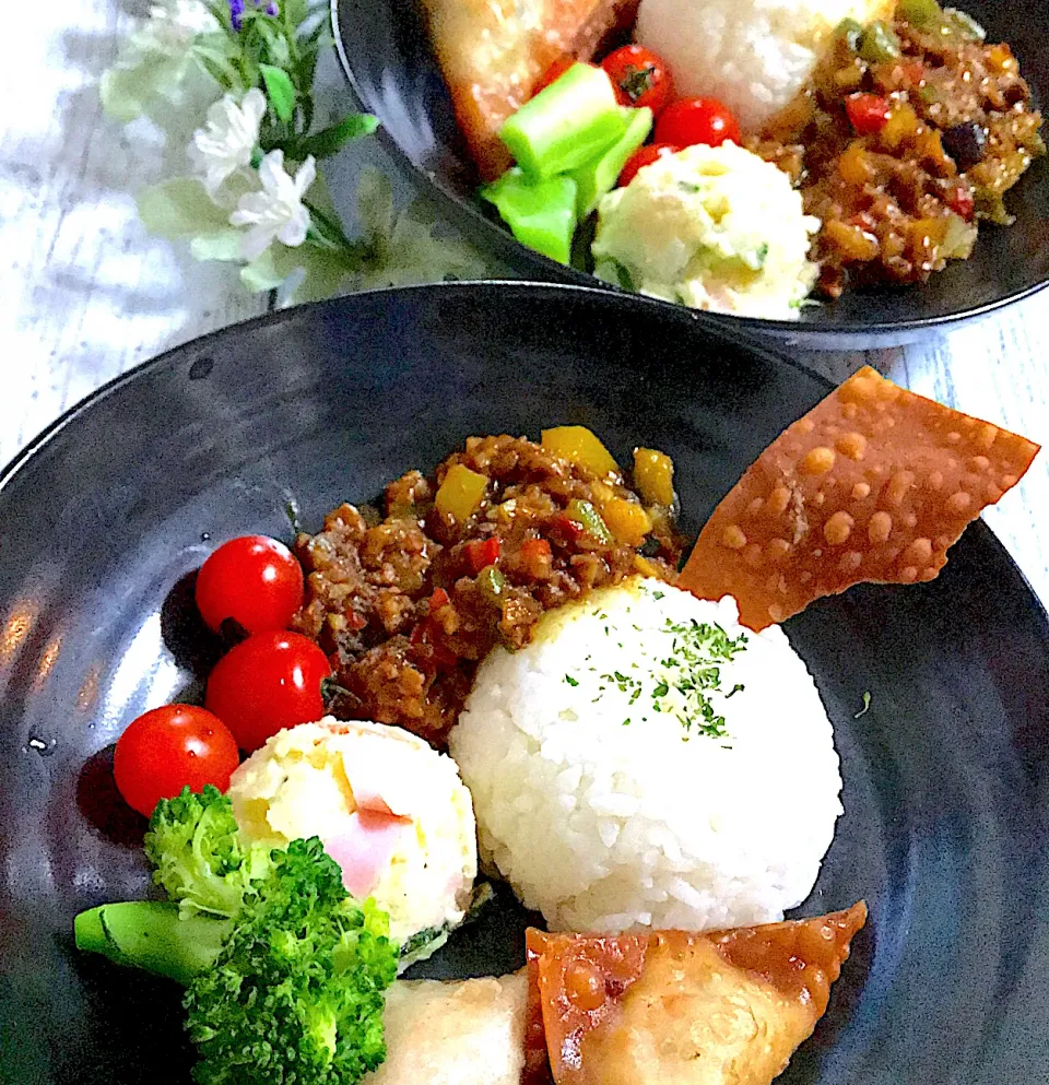 大豆のお肉のキーマカレーとキーマカレーのワンタン揚げ❣️|🌺🌺Foodie🌺🌺さん