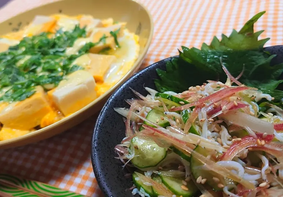 高野豆腐とろたまチ~
胡瓜+茗荷+しらす+🍋|マギーさん