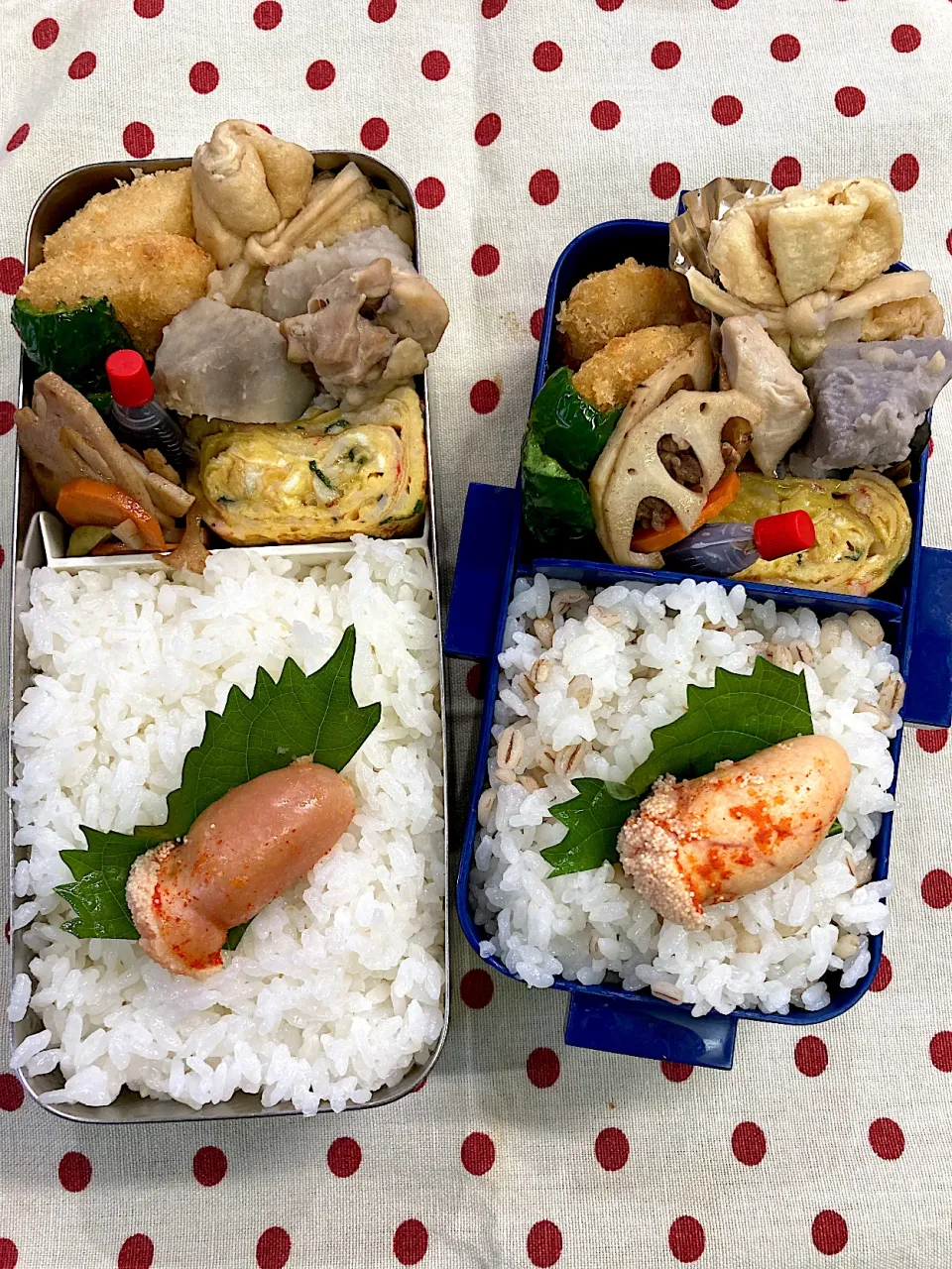 10月22日 残り物 手抜き弁当🍱|sakuramochiさん