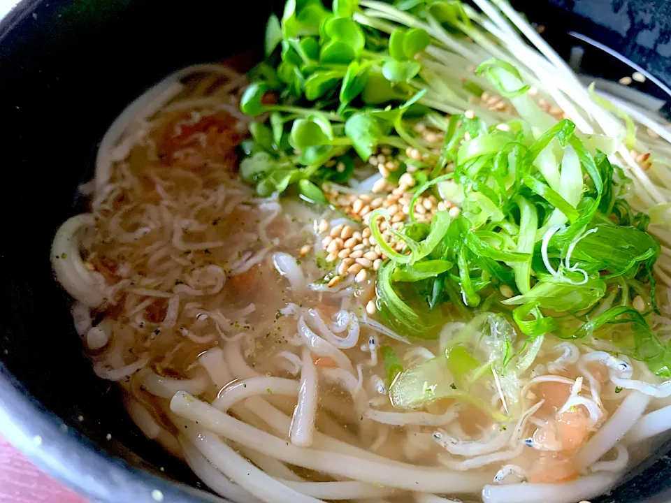 梅ちりめん温めん|半田手延べそうめんの店 阿波や壱兆さん