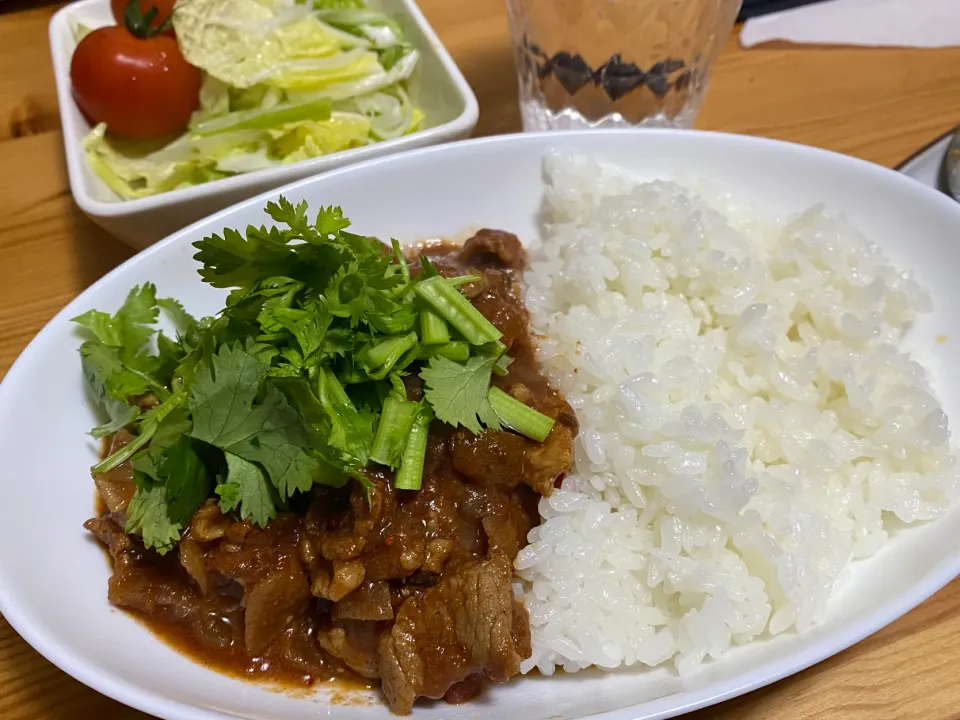 パクチーがよく合うスパイスカレー|づづるさん