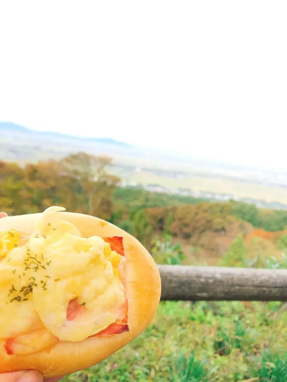 ベーコンマヨ朝ごパンを頂上で|Perritoさん