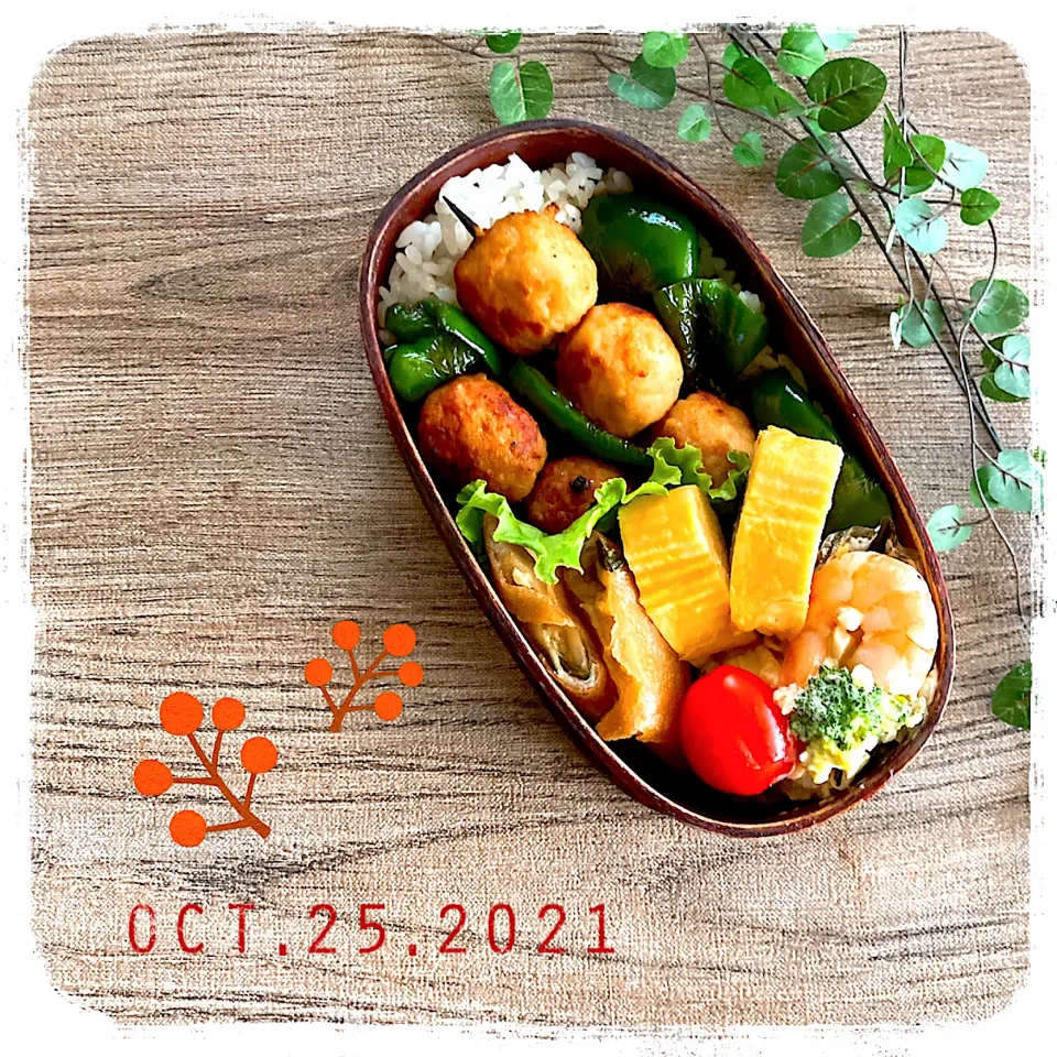 Snapdishの料理写真:10/25 ☺︎ 鶏つくね弁当✩.*˚|jon2さん