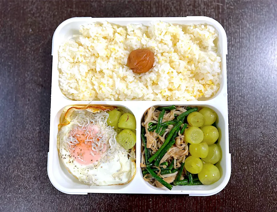 Ceplok telor bento|yeni kartikasariさん