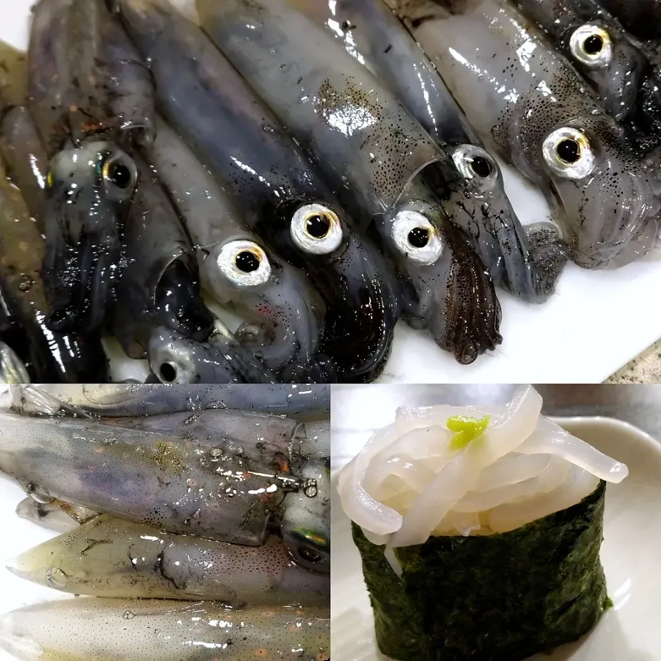 Snapdishの料理写真:桟橋でイカ夜釣り→イカ軍艦巻き;Squid night fishing→Squid Gunkan Sushi|samiさん