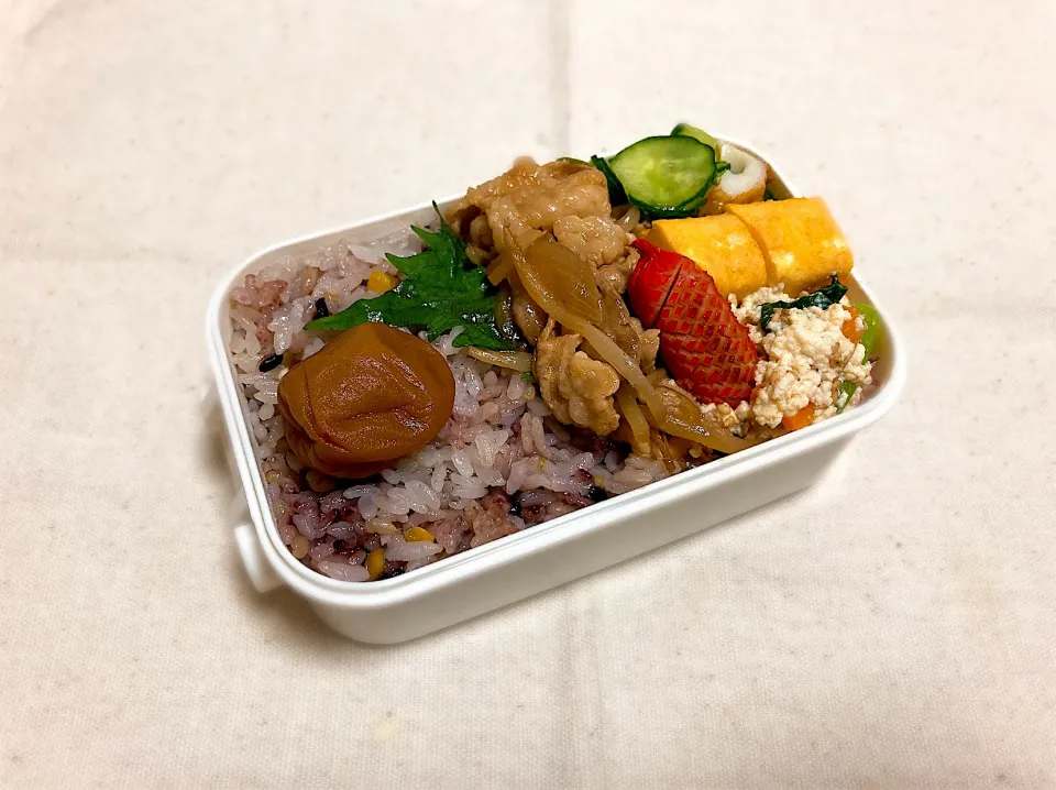 お弁当🌿|momoさん