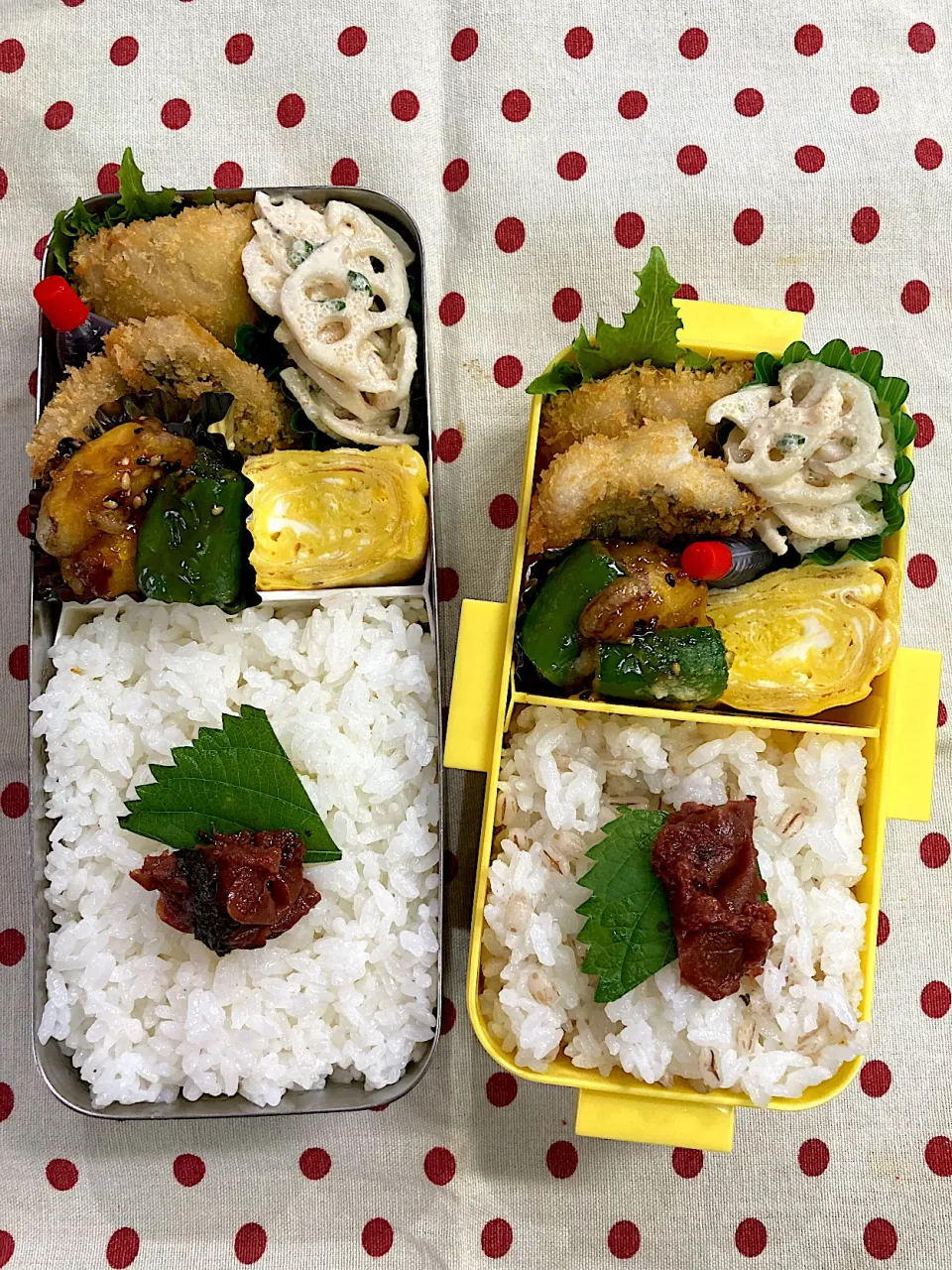 10月27日　New Lunch boxでお弁当🍱|sakuramochiさん