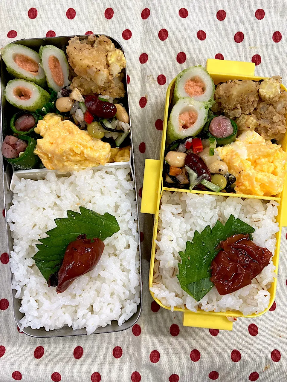 Snapdishの料理写真:10月28日　今日も秋晴れ弁当🍱|sakuramochiさん