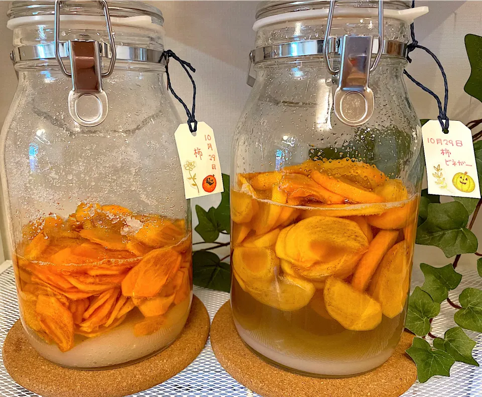 柿酵素ジュースとフルーツビネガー酵素ジュース仕込みましたあ|みぃこさん