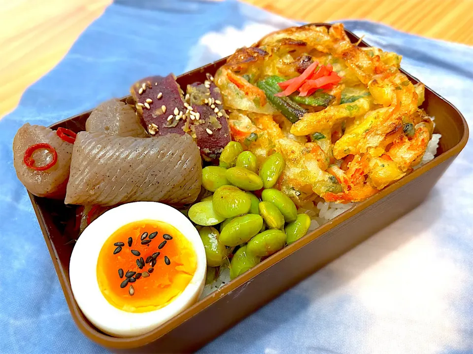 Snapdishの料理写真:JKかき揚げ弁当|Topollinoさん