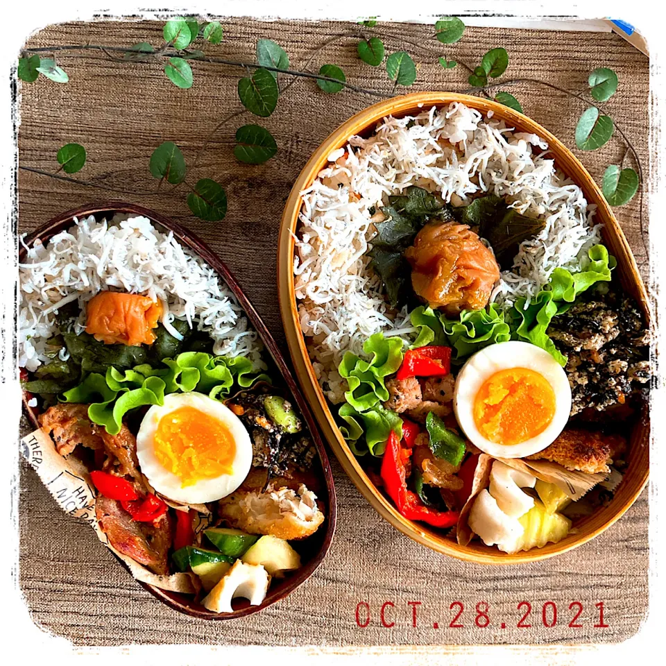 Snapdishの料理写真:10/28 ☺︎☺︎ しらすご飯弁当✩.*˚|jon2さん