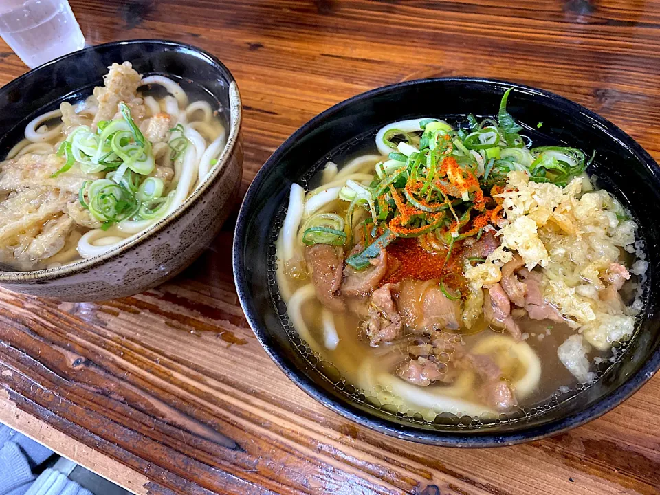 Snapdishの料理写真:味処 豊前路で地鶏うどんとごぼ天うどん|Kouji  Kobayashiさん