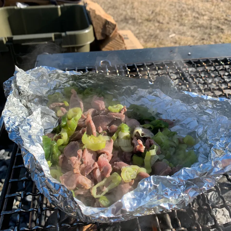 Snapdishの料理写真:キャンプ飯⛺️砂肝とネギ炒め|とももさん