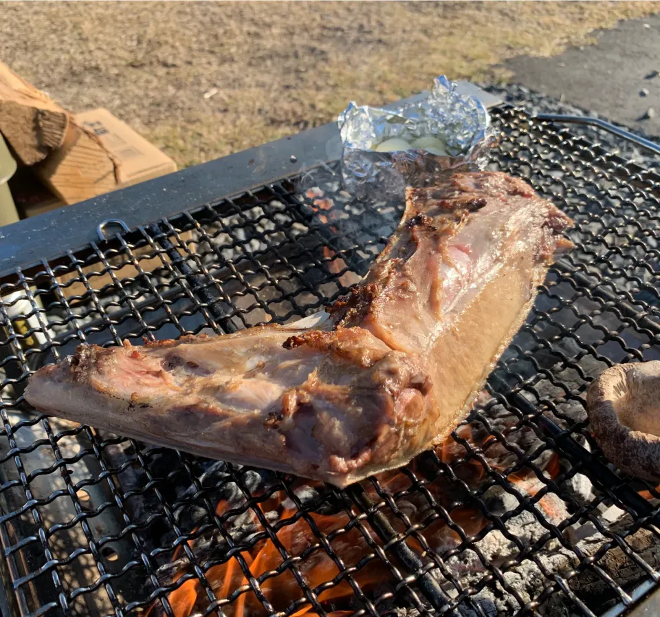 キャンプ飯⛺️マグロのカマ焼き|とももさん