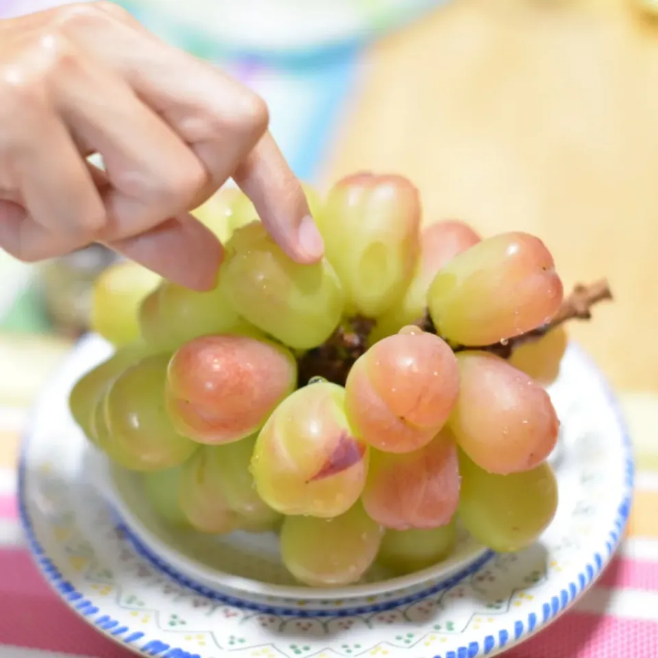 バイオレットキング🍇✨|さわ太郎さん