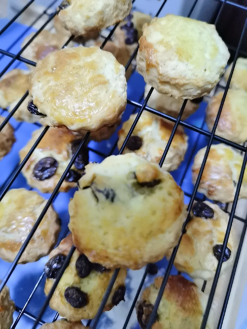 Scone
Fb bake.fresh.oven
IG​ bakefreshoven|Bake.fresh.oven​さん