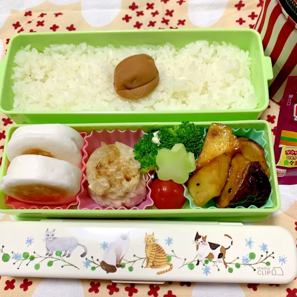 娘のお弁当11/4|iguigupopさん