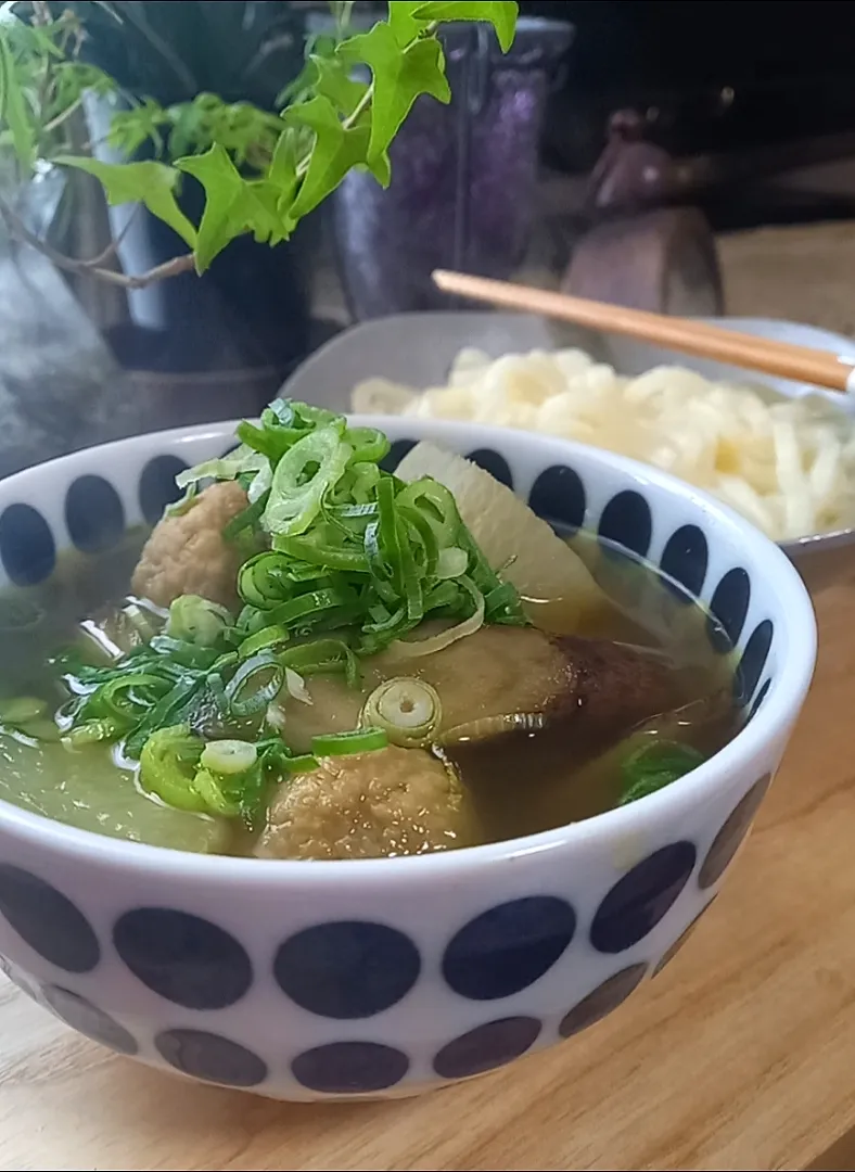 ｶﾚｰつけうどん|まりおさん