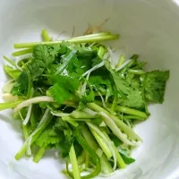 Snapdishの料理写真:老虎菜(古典中国料理)
