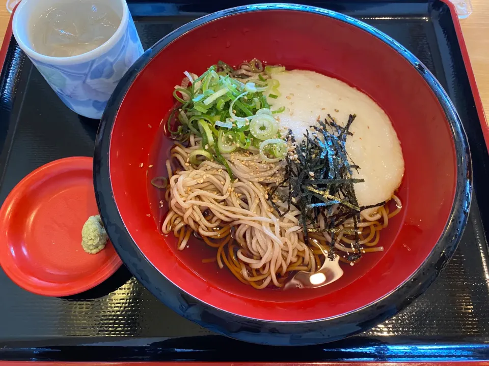 賄いごはん　ぶっかけトロロ蕎麦|ようか✩.*˚さん