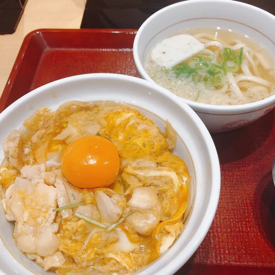 晩ご飯|まめさん