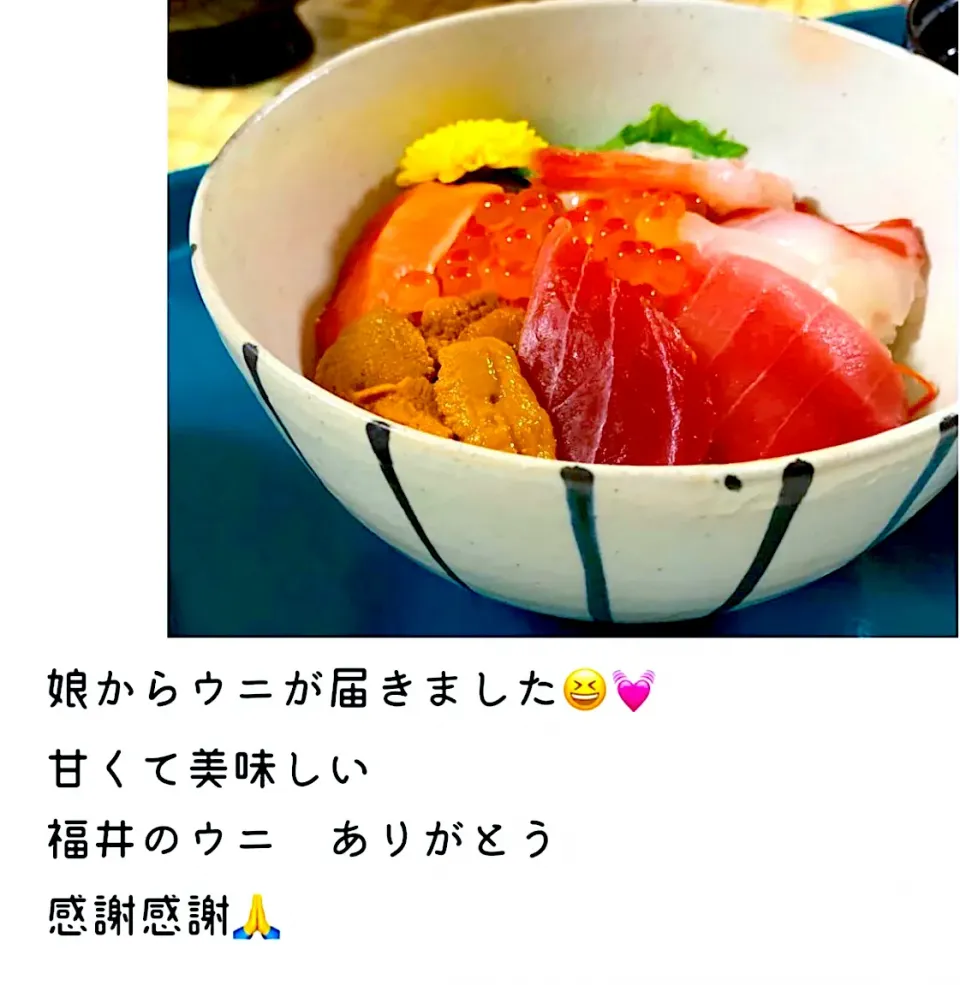 Snapdishの料理写真:海鮮丼|Ryokoさん