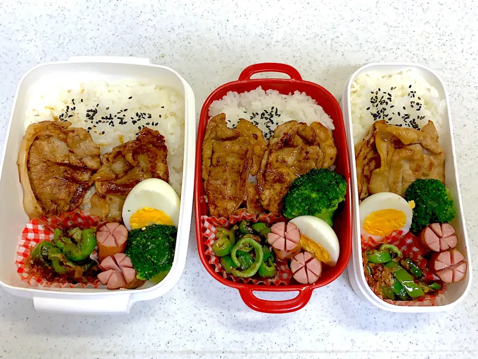 11月8日お弁当🍱|もぐぷーさん