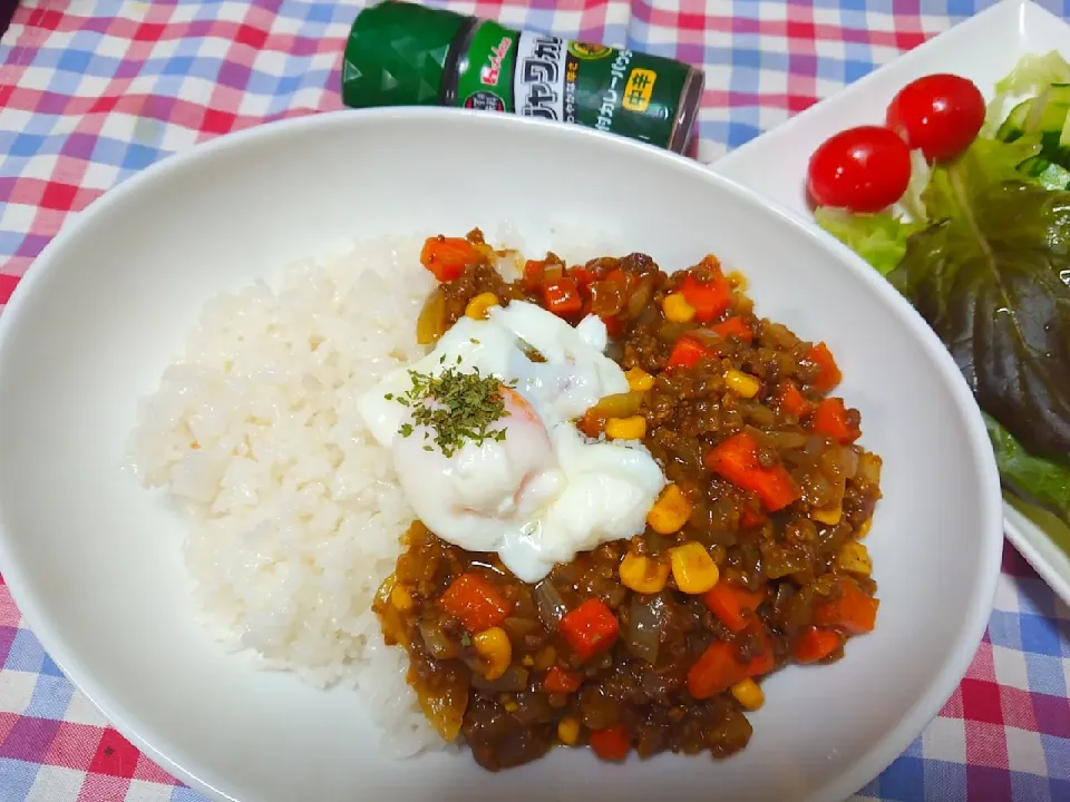 Snapdishの料理写真:温玉乗せキーマカレー🎵味変カレーパウダー✨|cocco+さん