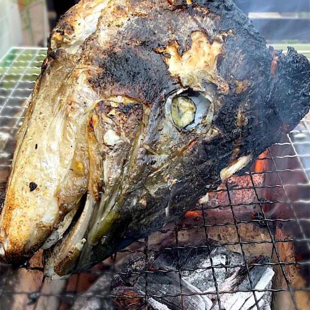 釣り魚七輪で寒ブリのカブト焼き 9421beru Snapdish スナップディッシュ Id Sfmkra
