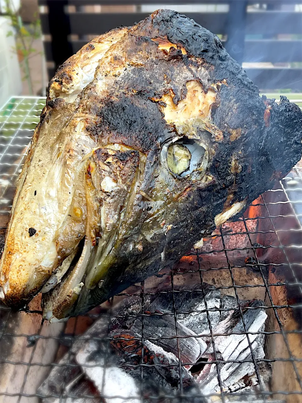 釣り魚🎣七輪で寒ブリのカブト焼き|9421beruさん