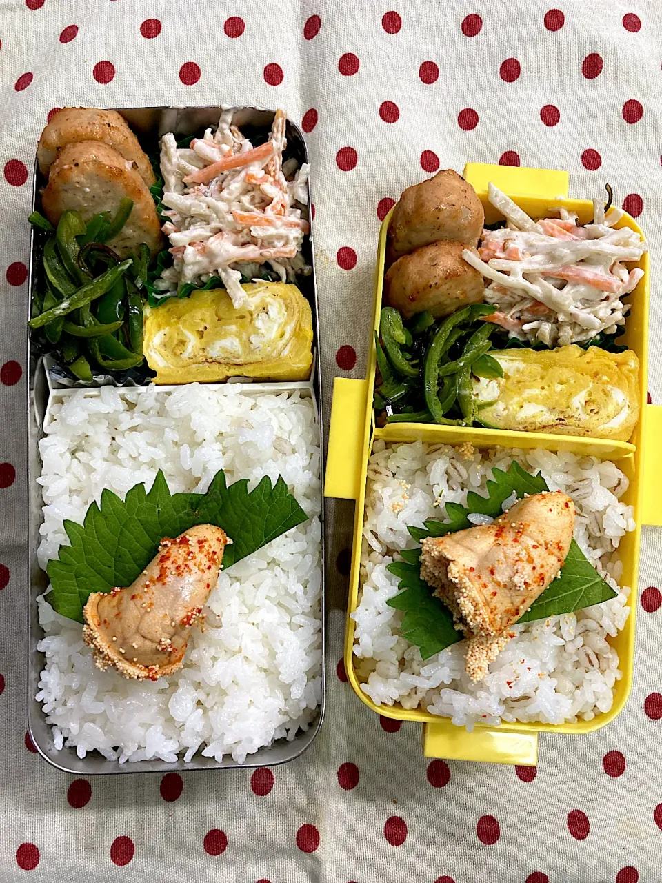 Snapdishの料理写真:11月8日　週の始まり弁当🍱|sakuramochiさん