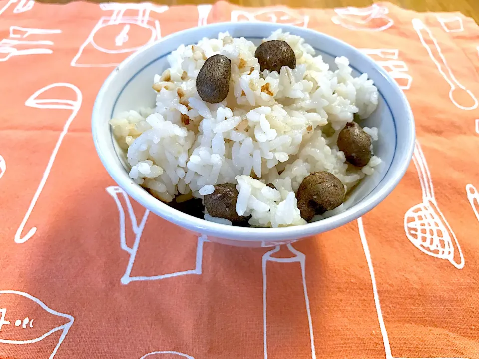 ホクホクむかごの炊き込みご飯|えいぽんさん