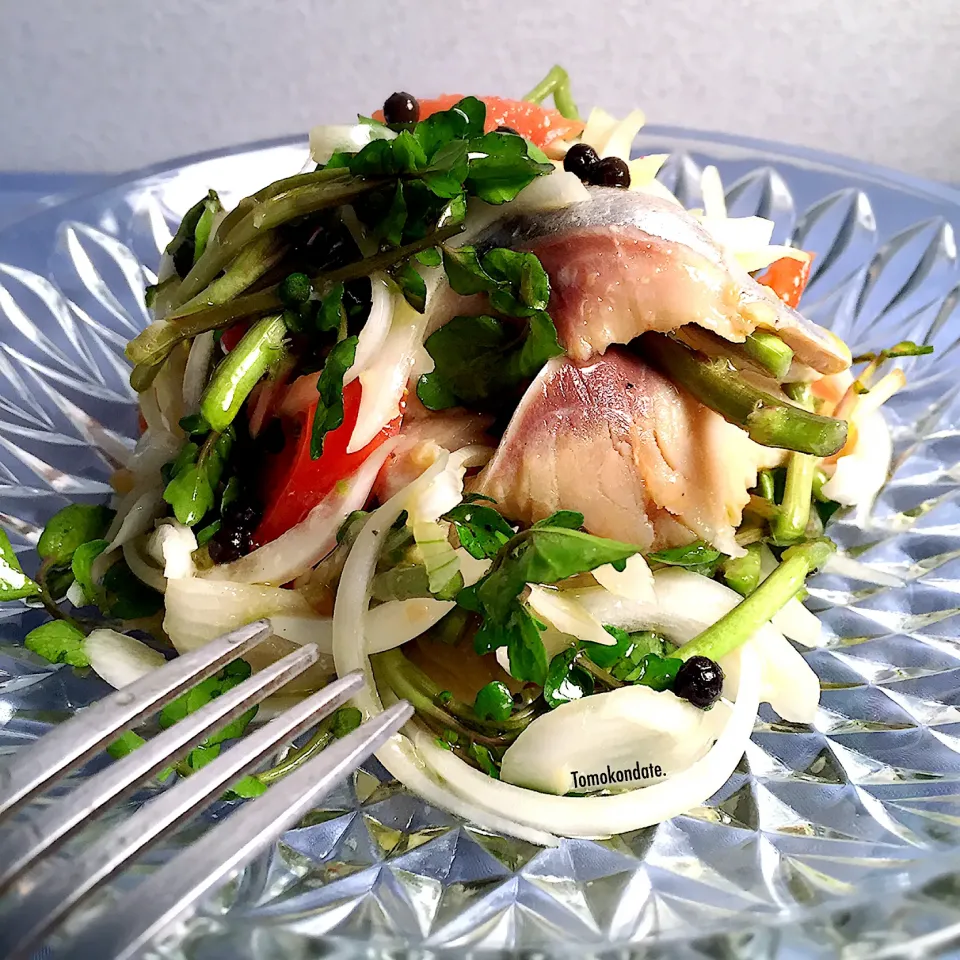 しめ鯖と新玉ねぎとクレソンのサラダ🥗|🇯🇵ともこちゃん。さん