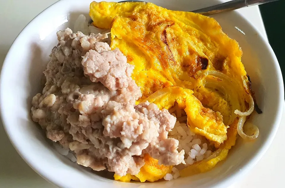 Lunch today : onion egg + minced steamed pork with rice 10 Nov 2021|🌷lynnlicious🌷さん