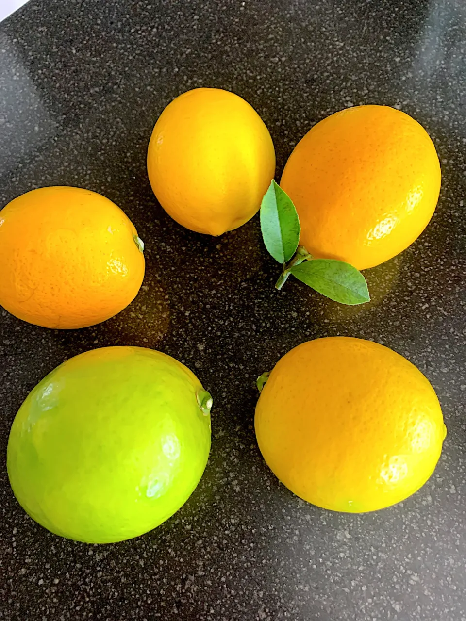 Snapdishの料理写真:🍋マイヤーレモン🍋いただきました。|シュトママさん