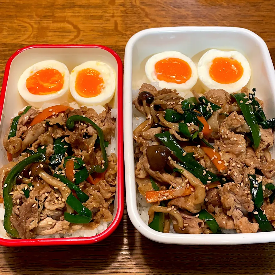 中学生＆高校生弁当|tenoaさん