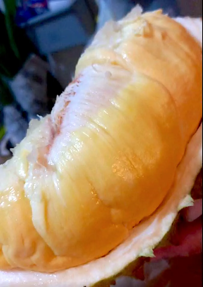 ทุเรียนหมอนทองในมะนิลา thai durian in manila|Popさん