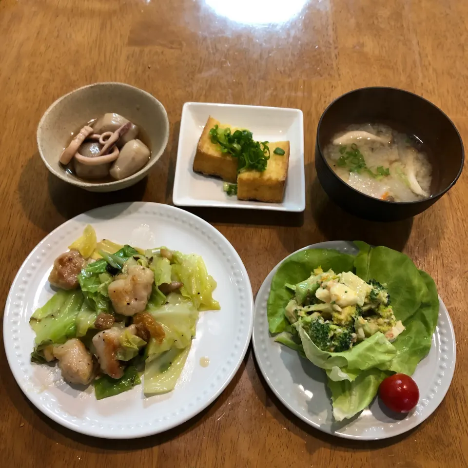 今日の晩ご飯|トントンさん