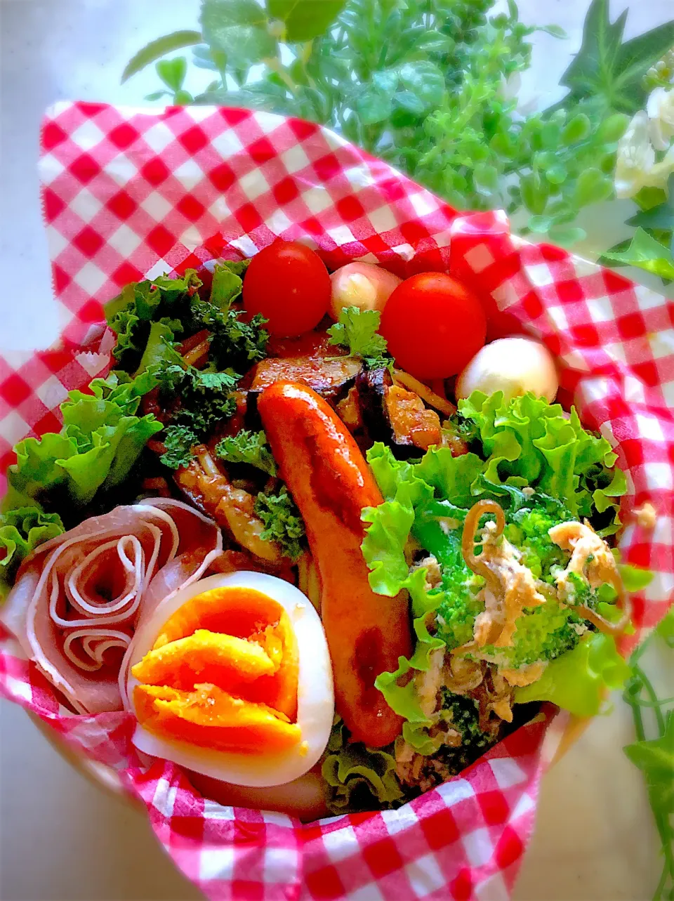 Snapdishの料理写真:茄子のボロネーゼパスタ🍝でお弁当🍆|みゆきさん