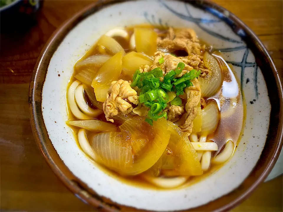 和風出汁のカレーうどん|名状しがたいゴミムシのようなものさん