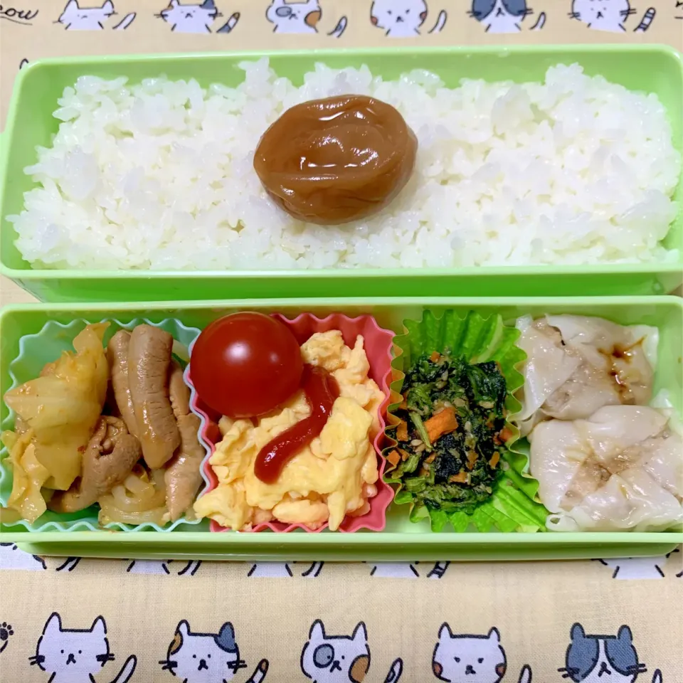 娘のお弁当11/15|iguigupopさん